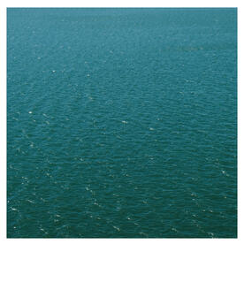 Untitled Water is LIfe