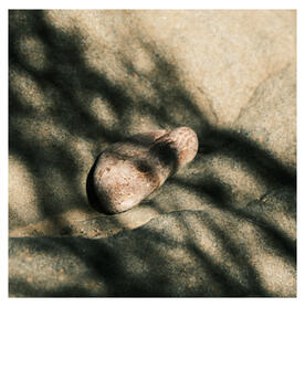 Untitled Zen River Bed